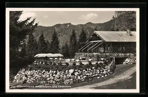 AK Rottach-Egern, Gasthaus Alpenwildpark gegen Riederstein