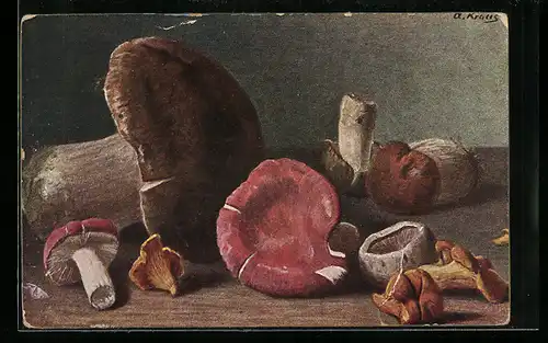 Künstler-AK Steinpilze, Pfifferlinge und andere auf einem Tisch liegend