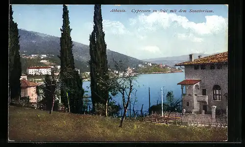 AK Abbazia, Cypressen in Icici mit dem Sanatorium