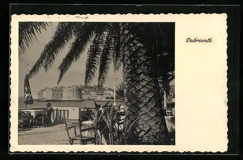 AK Dubrovnik, Gaststätte unter Palmen
