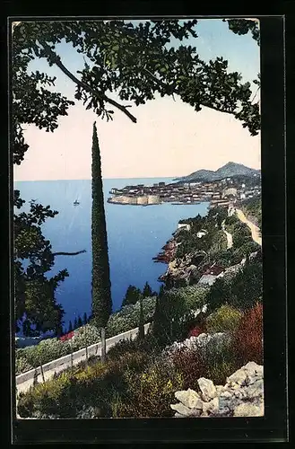 AK Dubrovnik, Panorama