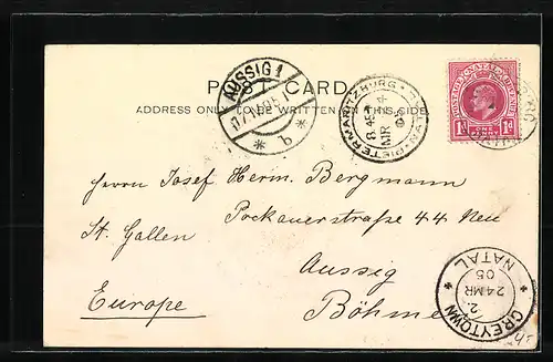 AK Greytown, Gesamtansicht mit Ureinwohner