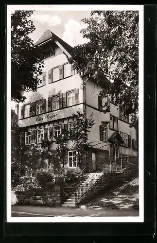 AK Freudenstadt, Hotel-Fremdenheim Villa Lydia, Landhausstr.