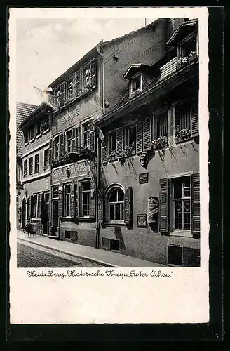 AK Heidelberg, Gasthaus Roter Ochse