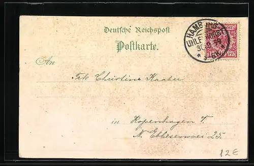 Lithographie Hamburg-Neustadt, Neujahrsnacht auf dem Jungfernstieg