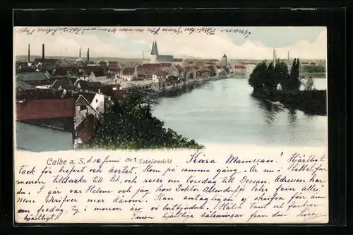 AK Calbe an Saale, Totalansicht mit Blick zur Kirche