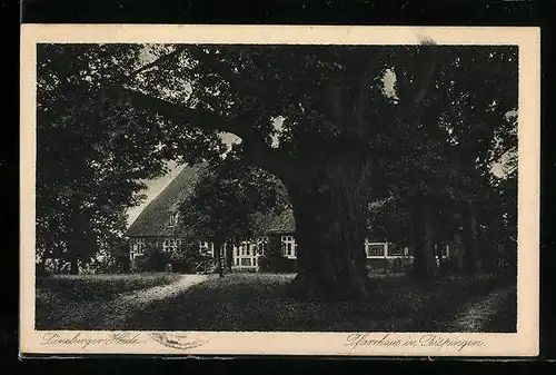 AK Bispingen in der Lüneburger Heide, am Pfarrhaus