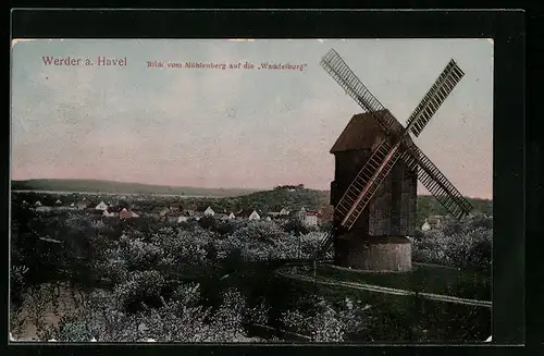 AK Werder a. Havel, Blick vom Mühlenberg auf die Wachtelburg