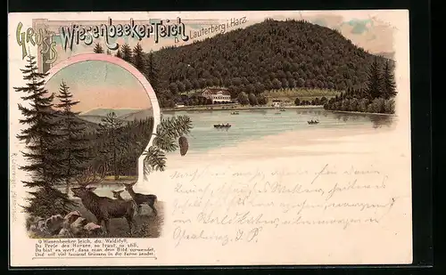 Lithographie Lauterberg im Harz, am Ufer des Wiesenbeeker Teich, Hirsche am Ufer