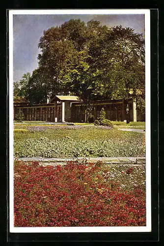 AK Hamburg, Niederdeutsche Gartenschau Planten und Blomen 1935, Blick über die Sommerblumenwiese