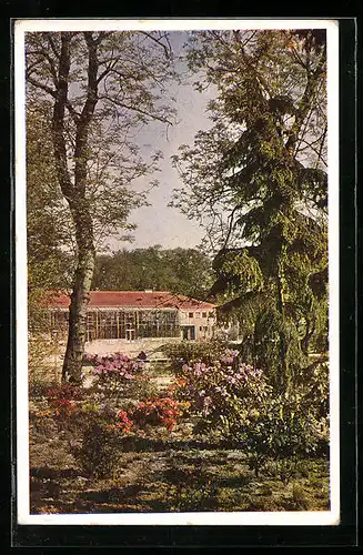 AK Hamburg-St. Pauli, Planten und Blomen, Niederdeutsche Gartenschau 1935, Orchideencafe