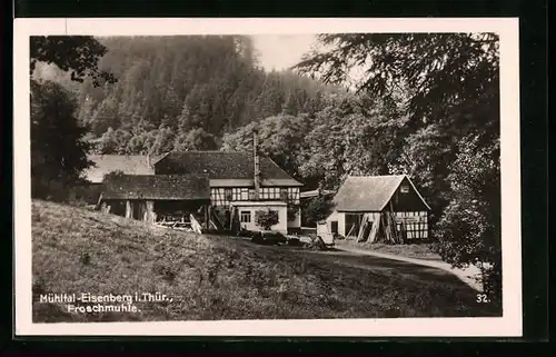 AK Eisenberg i. Thür., Froschmühle im Mühltal