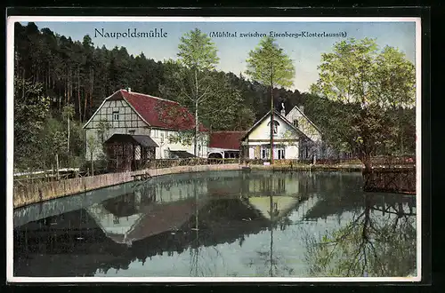 AK Eisenberg / Thür., Gasthaus Waldhaus Naupoldsmühle