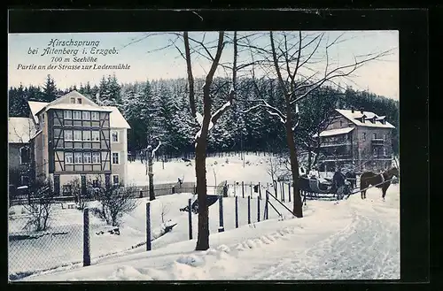 AK Hirschsprung bei Altenberg /Erzgeb., Partie an der Strasse zur Ladenmühle im Winter