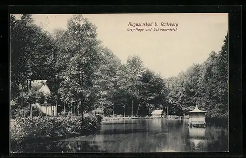 AK Augustusbad b. Radeberg, Eremitage und Schwanenteich