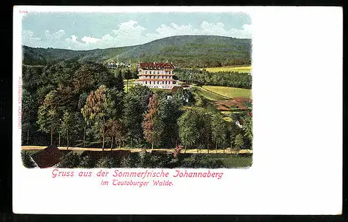 AK Johannaberg / Teutoburger Wald, Landschaftsidylle mit Kurhotel