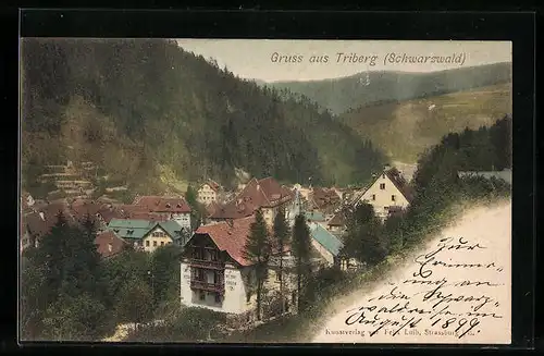 AK Triberg, Teilansicht vom Hügel aus