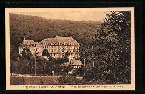 AK Königstein im Taunus, Blick auf das Wald-Sanatorium von Sanitätsrat Dr. Amelung