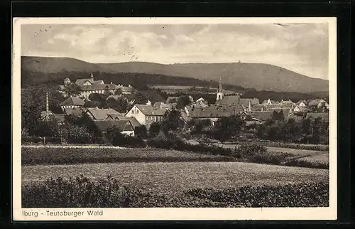 AK Iburg im Teutoburger Wald, Panoramaansicht vom Feld aus