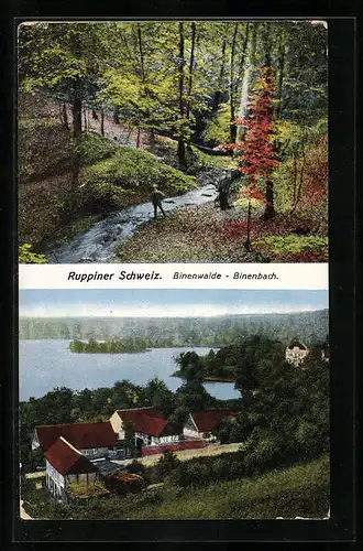 AK Binenbach i. Ruppiner Schweiz, Siedlungsansicht und Binenwalde