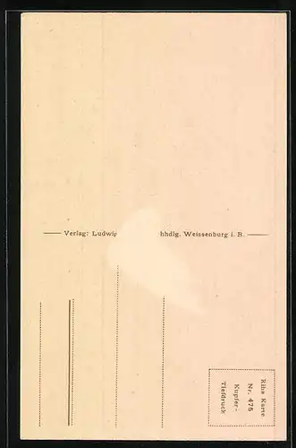 AK Weissenburg i. B., auf der Strasse vor dem Ellingertor