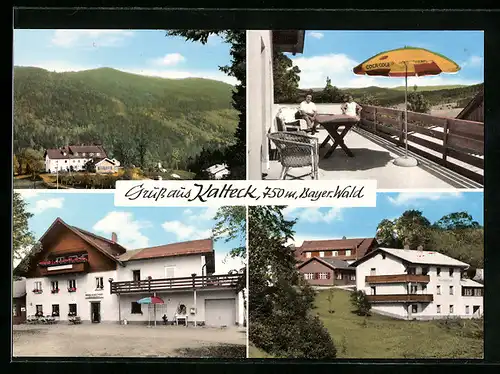 AK Kalteck, Berggasthof Heinrich Hartl mit Terrasse