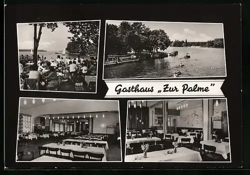 AK Berlin-Schmöckwitz, Gasthaus zur Palme mit Garten