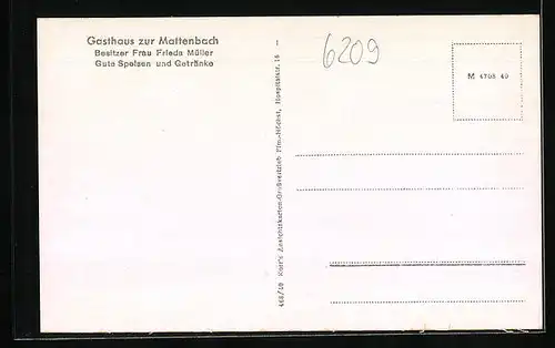 AK Rückershausen i /Taunus, Gasthaus zur Mattenbach, Teilansicht