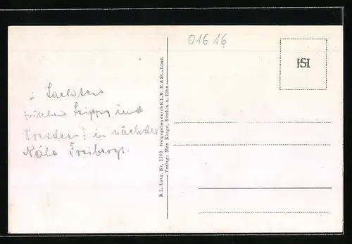 AK Strehla /Elbe, Ortsansicht vom Flugzeug aus