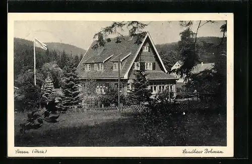 AK Seesen /Harz, Landhaus Bohman mit Umgebung