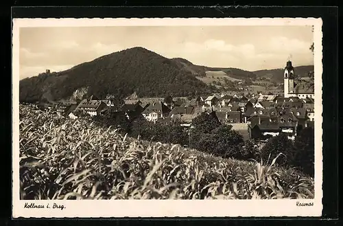 AK Kollnau / Breisgau, Totale vom Berg aus gesehen