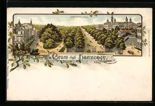 Lithographie Hannover, Herrnhäuser-Allee aus der Vogelschau