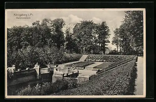 AK Königsberg i. Pr., Wallpromenade