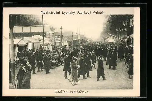 AK Lyon, Mezinàrodni Lyonsky Vzorkovy Veletrh, Oddeleni zemedelskè, Ausstellung