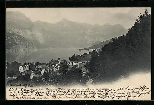 AK Murg am Wallensee, Gesamtansicht gegen Sichelkamm und Alvier