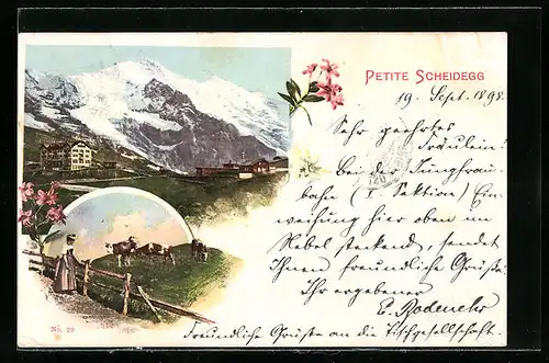 Lithographie Scheidegg, Ortsansicht und Rinderherde