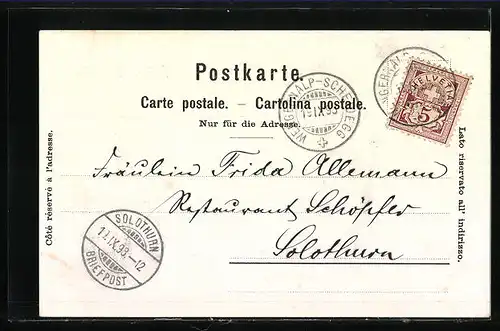 Lithographie Scheidegg, Ortsansicht und Rinderherde