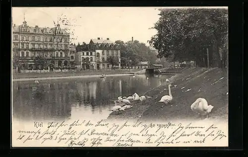 AK Kiel, Am kleinen Kiel