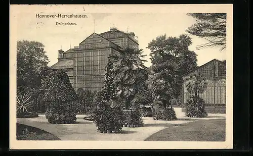 AK Hannover-Herrenhausen, Palmenhaus