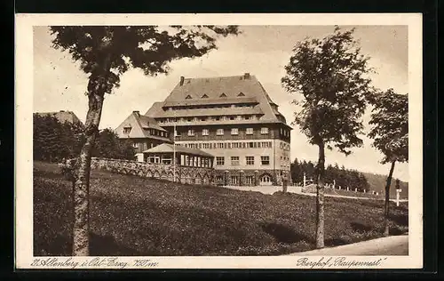 AK Altenberg im Ost-Erzgeb., am Berghof Raupennest