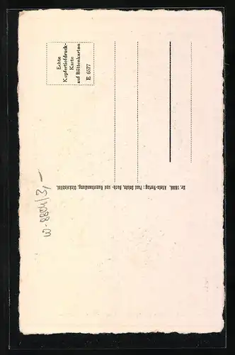 AK Dinkelsbühl, Deutsches Haus mit Strasse