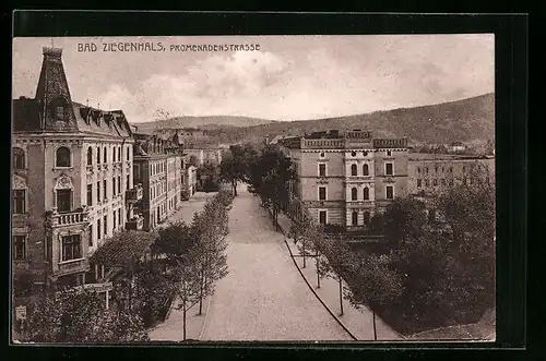 AK Bad Ziegenhals, Promenadenstrasse aus der Vogelschau