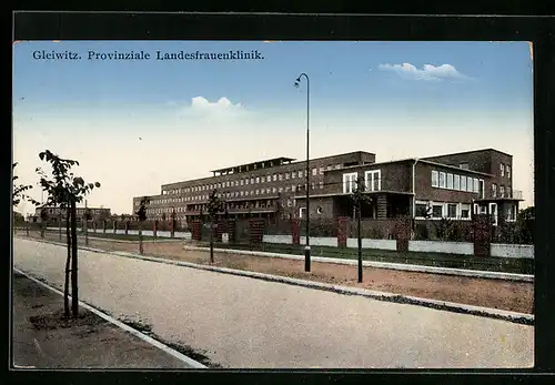 AK Gleiwitz, Provinziale Landesfrauenklinik mit Strasse