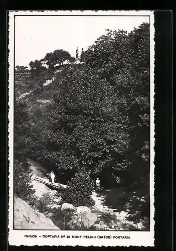 AK Mont Pélion, Mont Pélion Portaria