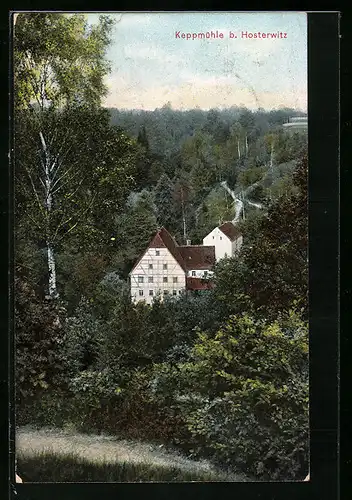 AK Dresden-Hosterwitz, Keppmühle aus der Vogelschau