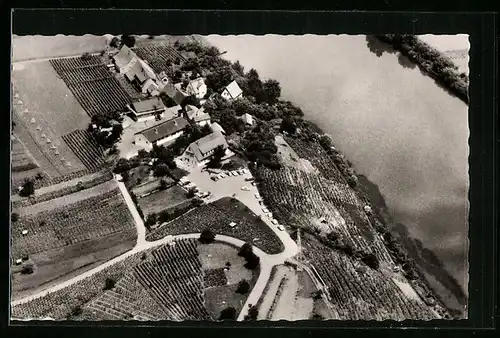 AK Hessigheim /Neckar, Gaststätte Schreyerhof E. Veigel, Fliegeraufnahme