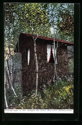 AK Klingenthal /Sa., Harmonika- und Musikinstrumentenfabrik Ernst Hess, Birkengruppe mit Häuschen im Garten