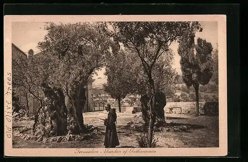 AK Jerusalem, Garten von Gethsemane