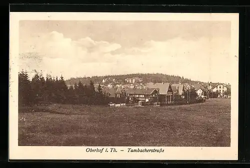 AK Oberhof /Th., Tambacherstrasse, von einer Wiese gesehen