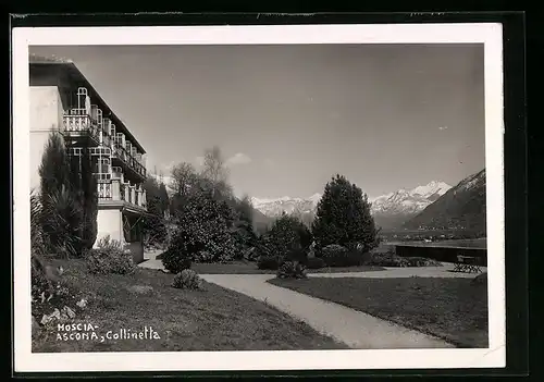 AK Ascona, Collinetta, Panorama